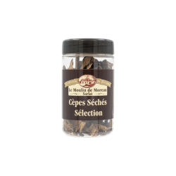 Cèpes Séchés Sélection 30G (2)