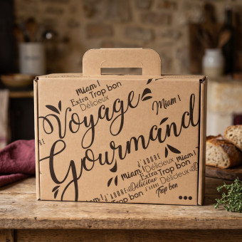 VALISETTE KRAFT VOYAGE (2)
