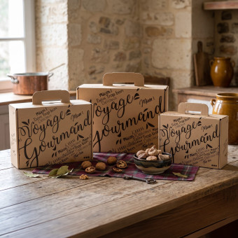 VALISETTE KRAFT VOYAGE (3)